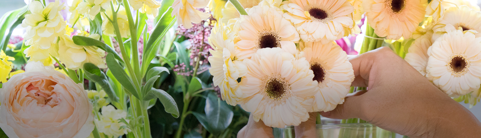 플라워 사업 배경